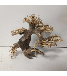 Bonsai tamanho S - Nº318