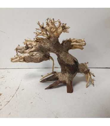 Bonsai para acuario 318 | Maderas para acuario | Acuario Plantado