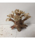 Bonsai para acuario 314 | Maderas para acuario | Acuario Plantado