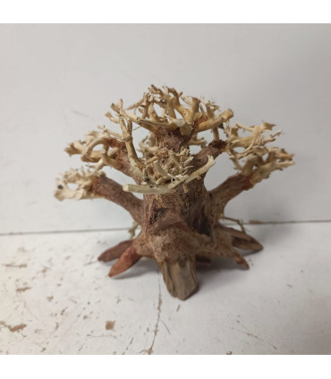 Bonsai para acuario 314 | Maderas para acuario | Acuario Plantado