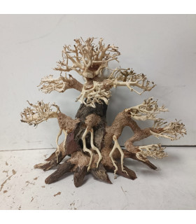 Bonsai para acuario 320 | Maderas para acuario | Acuario Plantado