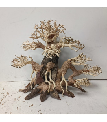 Bonsai para acuario 320 | Maderas para acuario | Acuario Plantado