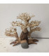 Bonsai para acuario 322 | Maderas para acuario | Acuario Plantado