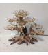 Bonsai para acuario 322 | Maderas para acuario | Acuario Plantado