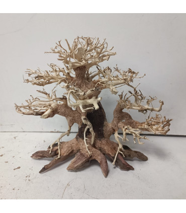 Bonsai para acuario 322 | Maderas para acuario | Acuario Plantado