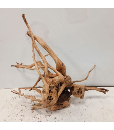 Raiz Roja para acuario | Redmoore 1468| Acuario Plantado