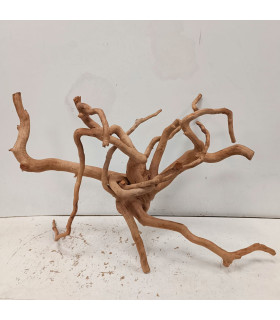 Raiz Roja para acuario | Redmoore 1469| Acuario Plantado