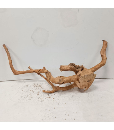 Raiz Roja para acuario | Redmoore 1475| Acuario Plantado