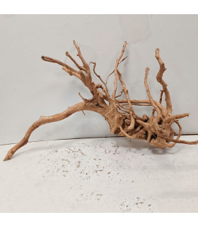 Raiz Vermelha para aquário | Redmore 1473 | Aquário Plantado