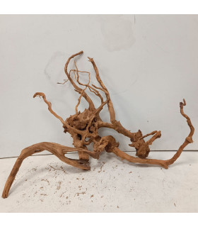 Raiz Vermelha para aquário | Redmore 1477 | Aquário Plantado