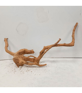 Raiz Roja para acuario | Redmoore 1475| Acuario Plantado