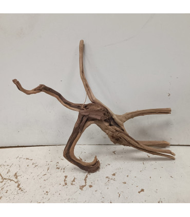 Slim Wood para acuario 113 | Decoración natural  para acuarios | Acuario Plantado