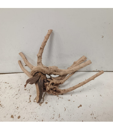 Slim Wood para acuario 111 | Decoración natural  para acuarios | Acuario Plantado