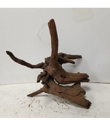 Driftwood para aquário 536 | Madeiras para aquário | Acuario Plantado