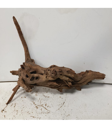 Driftwood para aquário 538 | Madeiras para aquário | Acuario Plantado