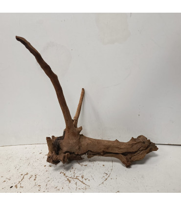 Driftwood para acuario 531 | Maderas para acuario | Acuario Plantado