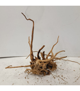 Raiz Roja para acuario | Red moore 1482 | Acuario Plantado
