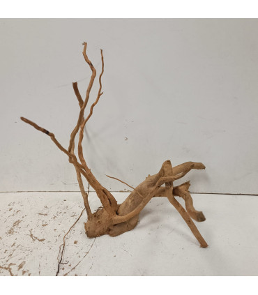 Raiz Vermelha para aquário 1487 | Decoração natural para aquários | Aquário Plantado