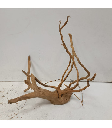 Raiz Vermelha para aquário 1487 | Decoração natural para aquários | Aquário Plantado