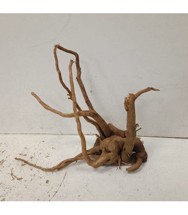 Raiz Vermelha para aquário 1490 | Decoração natural para aquários | Aquário Plantado