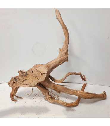 Raiz Roja para acuario | Redmoore 1492| Acuario Plantado