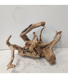 Raiz Roja para acuario | Redmoore 1491| Acuario Plantado