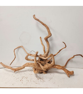 Raiz Vermelha para aquário | Redmore 1491 | Aquário Plantado