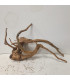 Raiz Vermelha para aquário | Redmore 1494 | Aquário Plantado