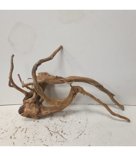 Raiz Roja para acuario | Redmoore 1494| Acuario Plantado