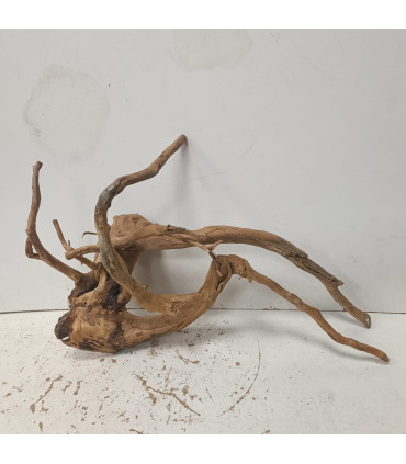 Raiz Roja para acuario | Redmoore 1494| Acuario Plantado