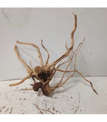 Raiz Vermelha para aquário 1495 | Decoração natural para aquários | Aquário Plantado