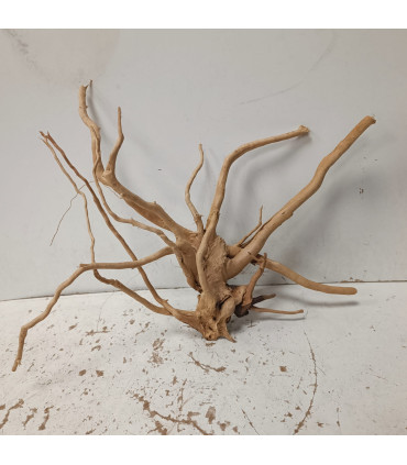 Raiz Vermelha para aquário 1495 | Decoração natural para aquários | Aquário Plantado