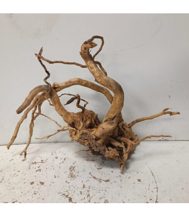 Raiz Vermelha para aquário 1497 | Decoração natural para aquários | Aquário Plantado