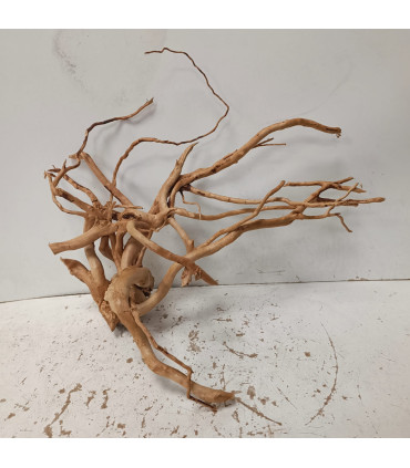 Raiz Vermelha para aquário 1499 | Decoração natural para aquários | Aquário Plantado