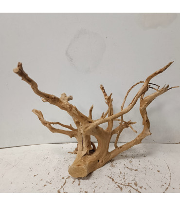 Raiz Roja para acuario | Red moore 1501 | Acuario Plantado