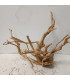 Raiz Roja para acuario | Red moore 1501 | Acuario Plantado