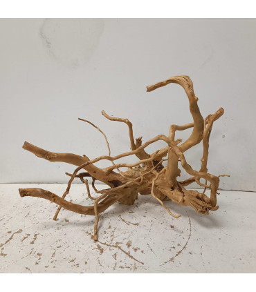 Raiz Vermelha para aquário 1502 | Decoração natural para aquários | Aquário Plantado