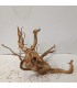 Raiz Roja para acuario | Red moore 1504 | Acuario Plantado