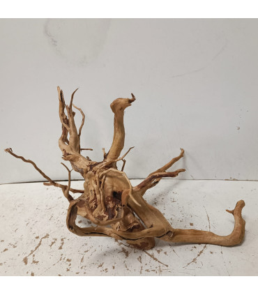 Raiz Vermelha para aquário 1504 | Decoração natural para aquários | Aquário Plantado