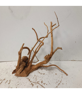 Raiz Vermelha para aquário 1505 | Decoração natural para aquários | Aquário Plantado