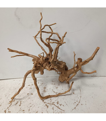 Raiz Vermelha para aquário 1506 | Decoração natural para aquários | Aquário Plantado