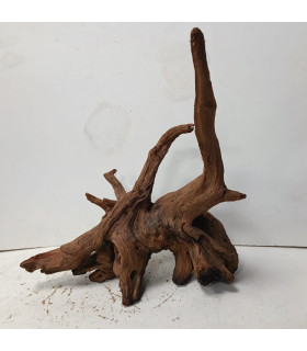 Driftwood para acuario 539 | Maderas para acuario | Acuario Plantado