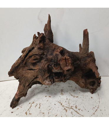 Driftwood para acuario 540 | Maderas para acuario | Acuario Plantado