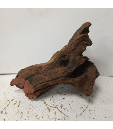 Driftwood para acuario 541 | Maderas para acuario | Acuario Plantado
