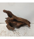 Driftwood para acuario 541 | Maderas para acuario | Acuario Plantado