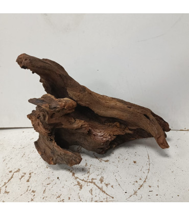 Driftwood para acuario 541 | Maderas para acuario | Acuario Plantado
