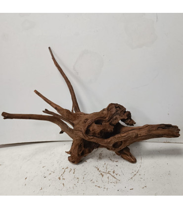 Driftwood para acuario 542 | Maderas para acuario | Acuario Plantado