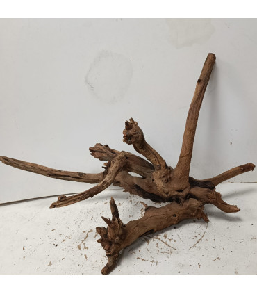 Driftwood para acuario 543 | Maderas para acuario | Acuario Plantado