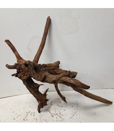 Driftwood para aquário 543 | Madeiras para aquário | Acuario Plantado