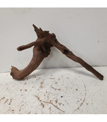 Driftwood para acuario 545 | Maderas para acuario | Acuario Plantado